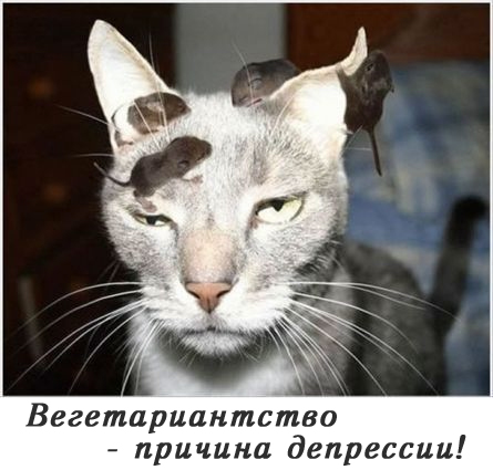 Ужин для вегетарианцев