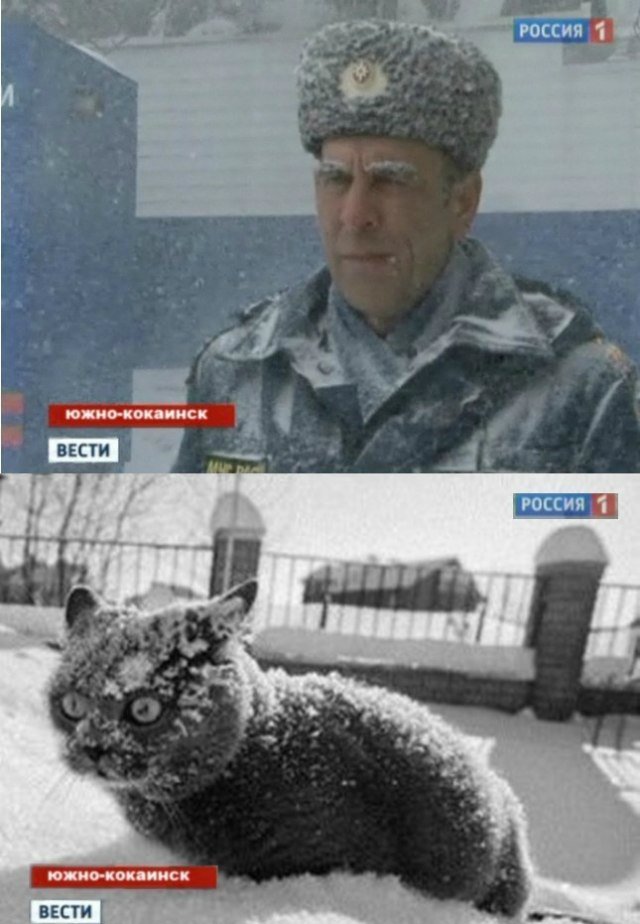 Двое наркополицейских обнаружены под кайфом