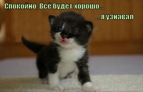 ЯПовцы - это все-таки сила