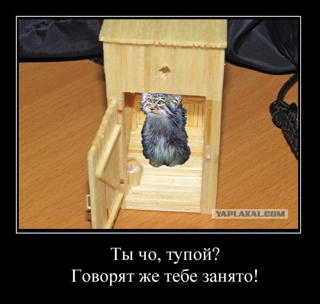 Спички