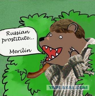 Медведи почти на все случаи жизни
