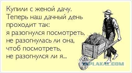 Смешные комментарии из социальных сетей 04.08.14