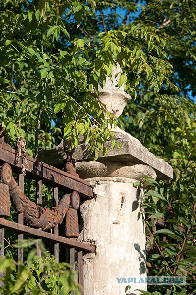 Солнечный Санкт-Петербург
