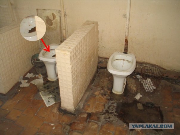 Студенческий быт