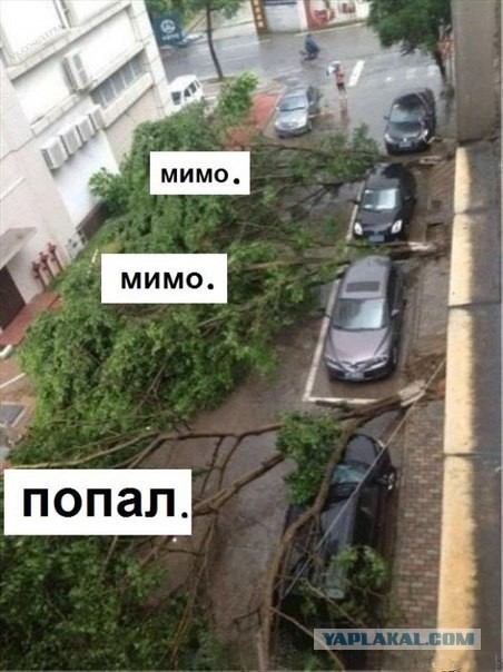 Немного смешных картинок из сети