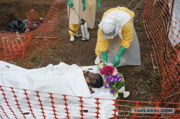 Умерла от лихорадки Эбола