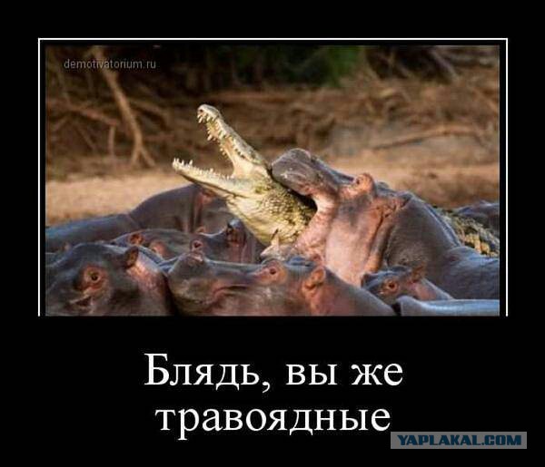 Демотиваторов пост, добавляйте свои