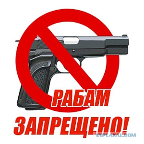 Факты о легализации травматического оружия