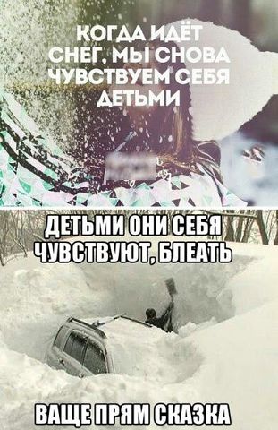 Весёлое из сети