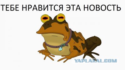 Сеанс для майданутых