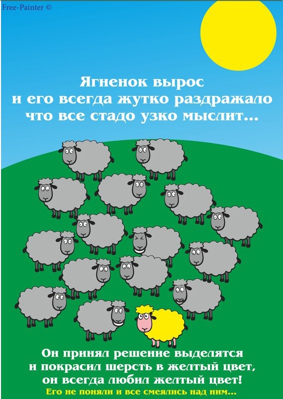 Стадо овец