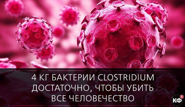 25 интересных фактов.