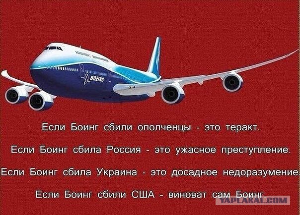 Результаты расследования крушения MH17 засекретят
