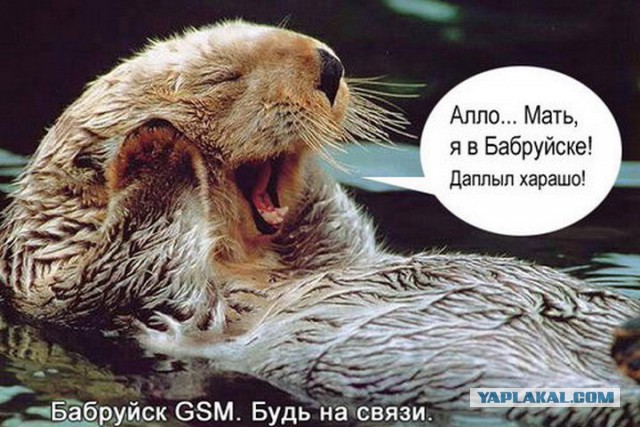 Хорош дрыхнуть