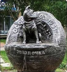Нелегальные кладбища животных