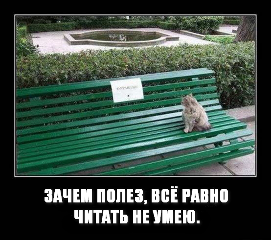 Прикольные картинки и демотиваторы
