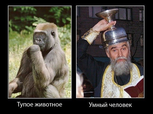 Это разрушает сильнее, чем бомбы террористов