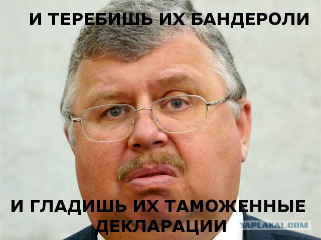 Федеральная таможенная служба РФ определилась