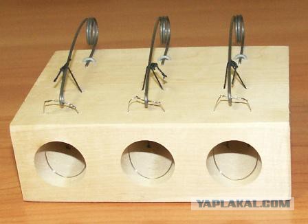 Японская мышеловка