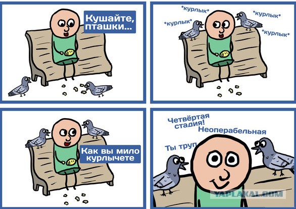 Абсурдный юмор ч.26
