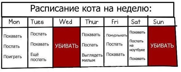 Может кто еще не знал. О домашних пушистых пару фактов.