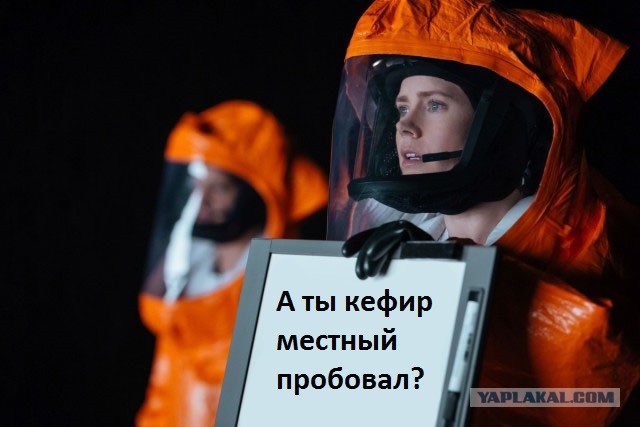 «Трамп — президент, улетайте»: что блогеры сказали бы пришельцам из фильма «Прибытие»