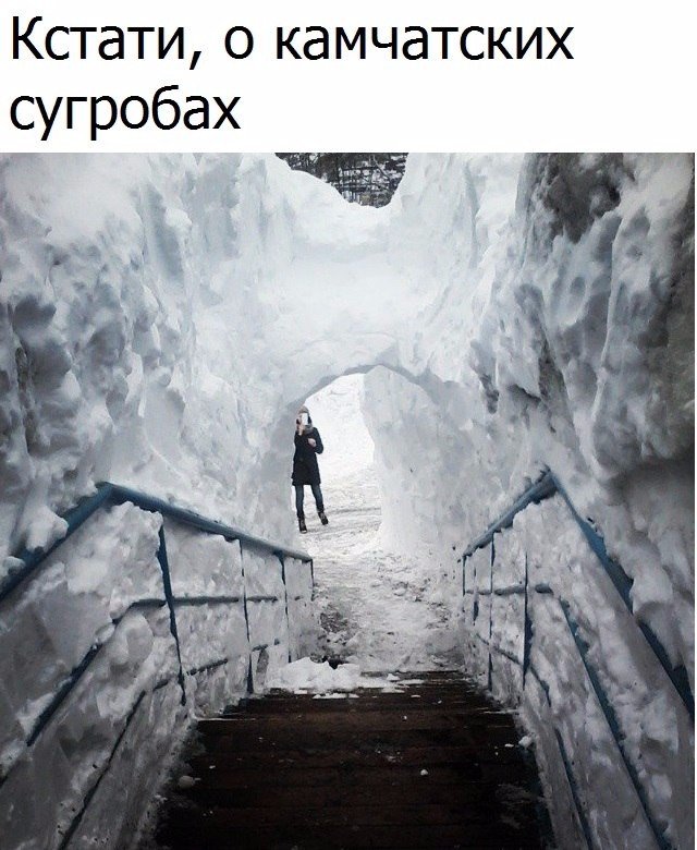 Подборка картинок