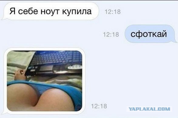 Смешные комментарии из социальных сетей 02.12.2016