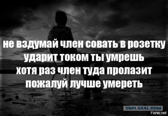 Немного картинок