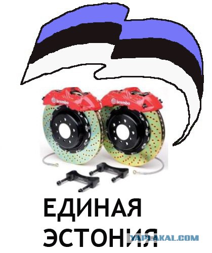 Ворона украла у эстонца паспорт. Прямо на российской границе!