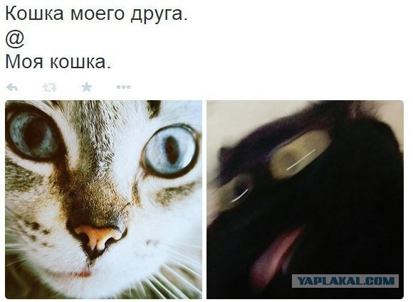 Картинки со смыслом и без - 4