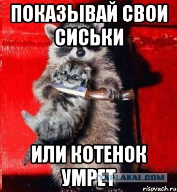 Сиськи!