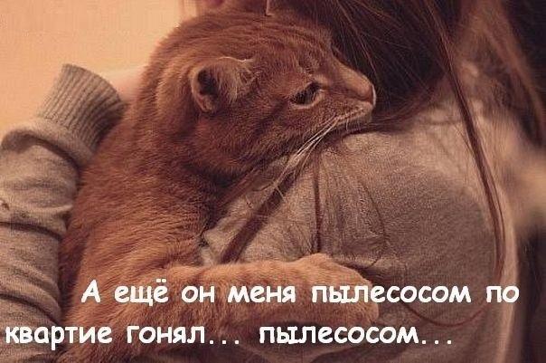Всякие разные картинки