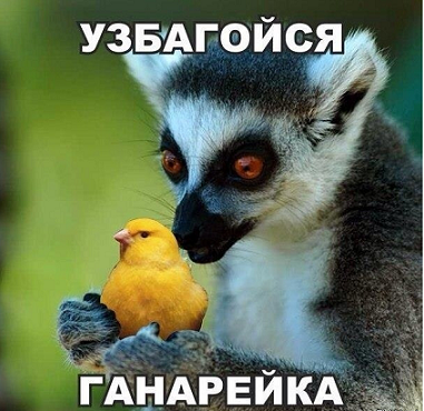 Фундаментальное различие между СССР и Россией