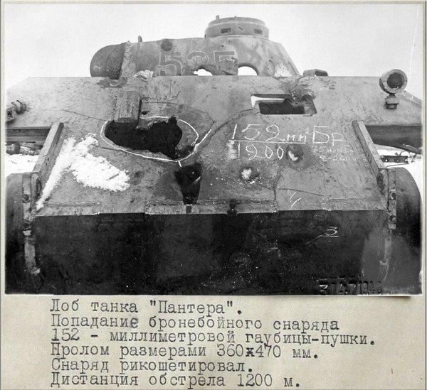 «Зверобой» и «Зубр» против «Тигров»