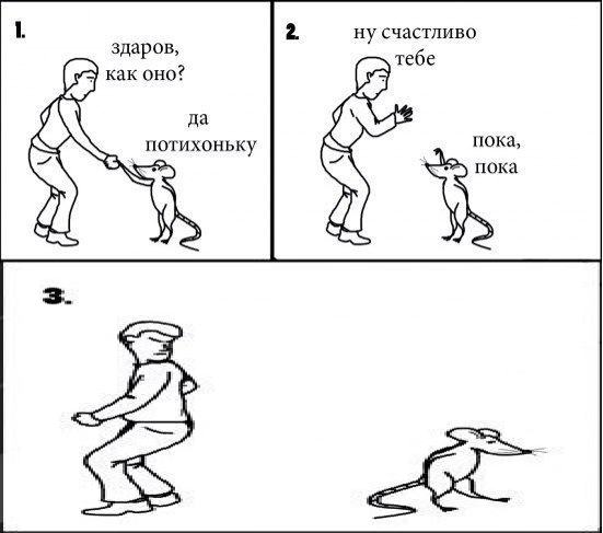 Большая подборка картинок на вечер