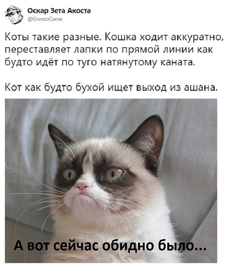 Прикольные комментарии и высказывания из Сети 24.10.2018