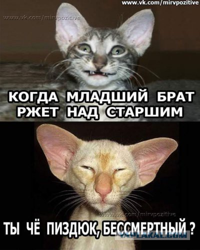 Я тоже хочу попробЫвать с картинками