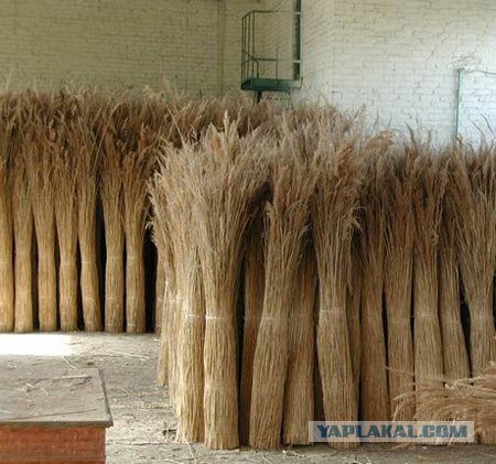 Век живи - век удивляйся!