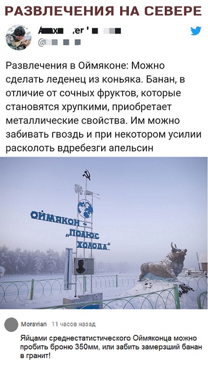 Прикольные комментарии и высказывания из Сети 23. 01.