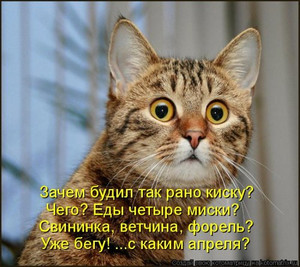 Всё идёт по плану