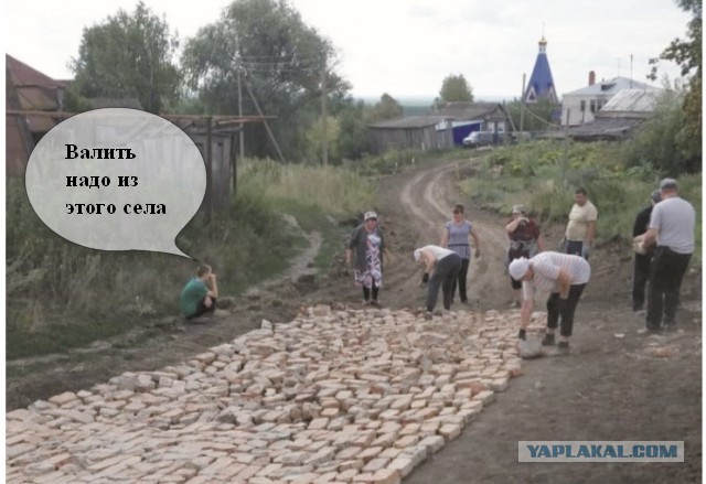 «Мы в город изумрудный идем дорогой трудной…». Фото дня от газеты «Сурская Правда»