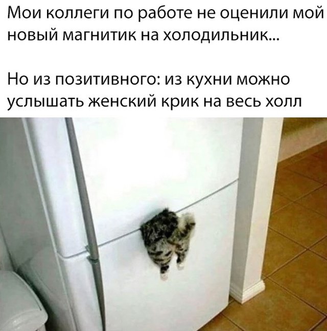 Немного картинок для настроения 29.01.20
