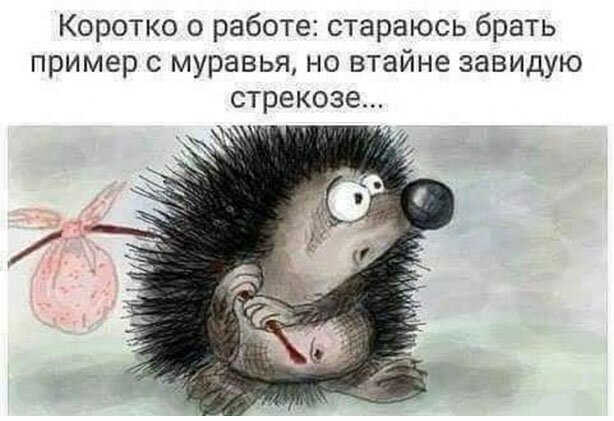 Пара-пара-пам! Фьють. Картинки с надписями 24.02.20