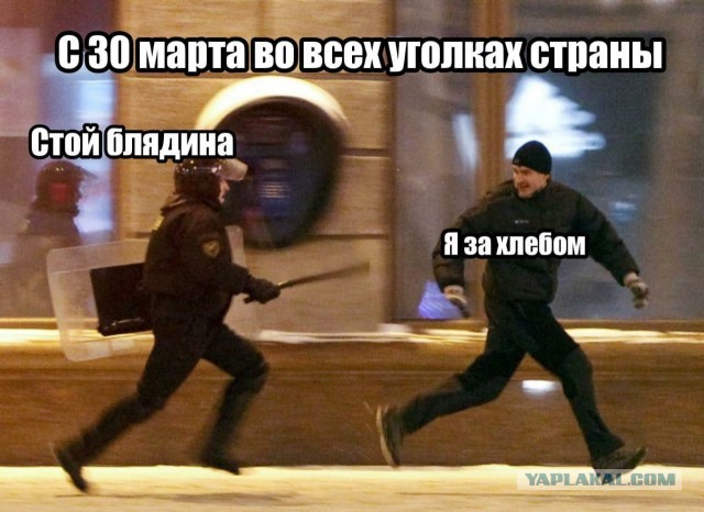 Карантин по-чеченски