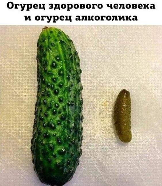 Алкоты, пост!