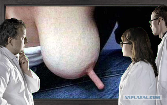 Фотожаба: Что увидели врачи?