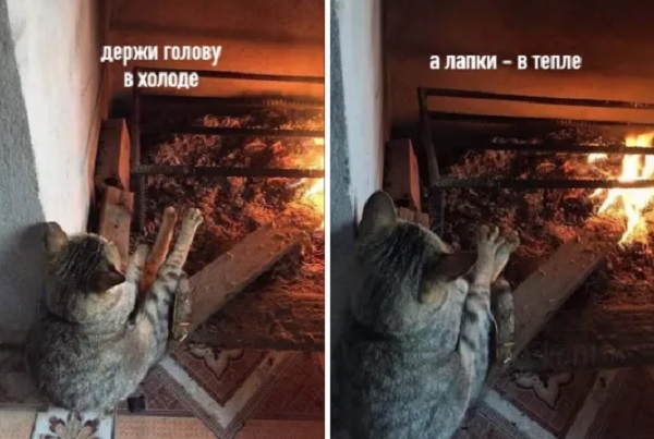 Картинки 17.10