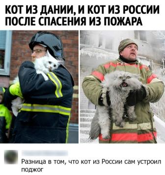 Картинки с надписями и всякие жизненные фразы