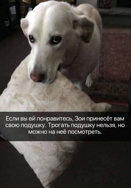 Юмор и прикольные картинки 04.12.2020